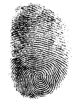 Forensic Science Fingerprints Worksheet - Worksheet List